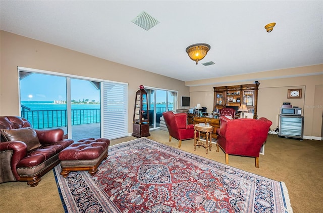 living room featuring carpet floors