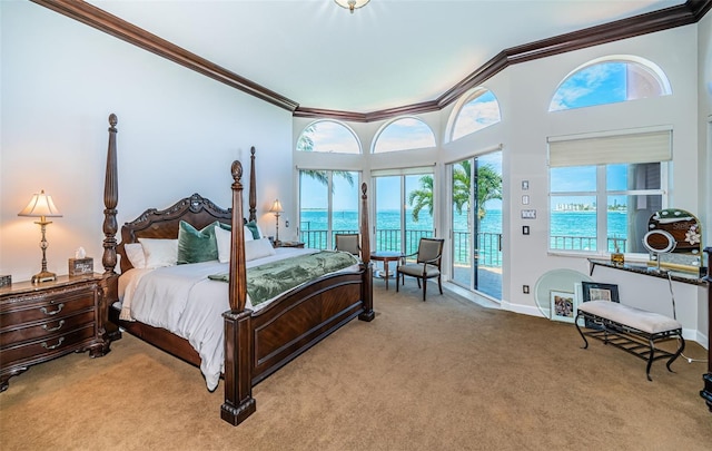 806 Columbus Dr, Tierra Verde, FL 33715 - photo 47