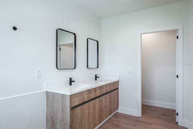 bathroom with wood-type flooring and dual bowl vanity