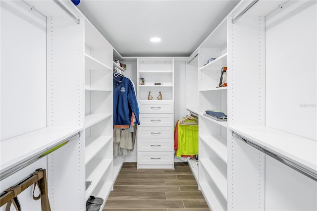 walk in closet with hardwood / wood-style flooring