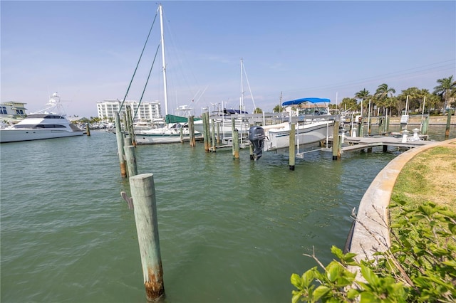 dock area with a water view