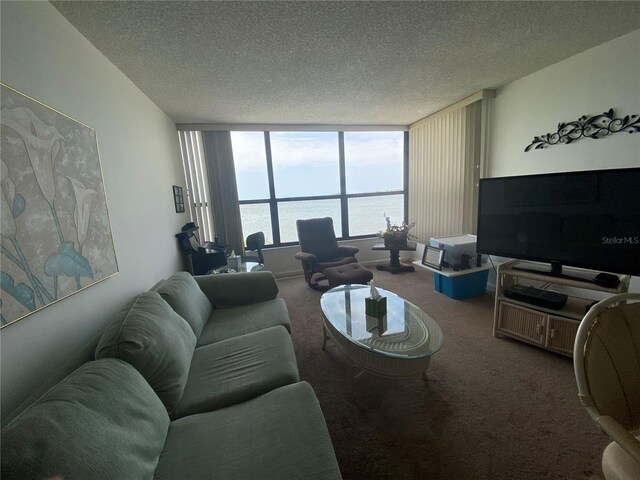 carpeted living room with a water view and a textured ceiling