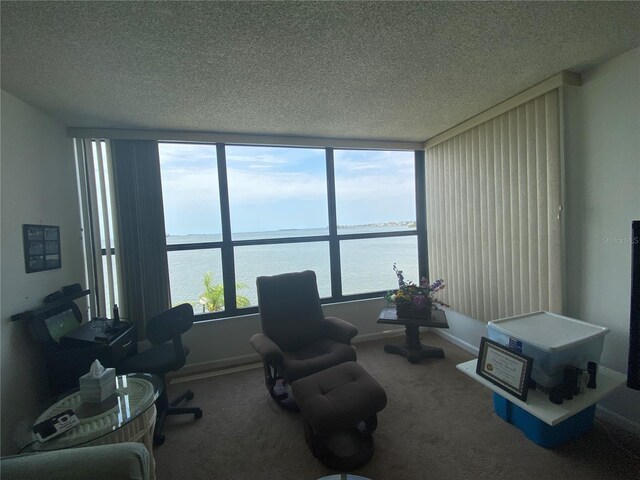 interior space with a textured ceiling and a water view