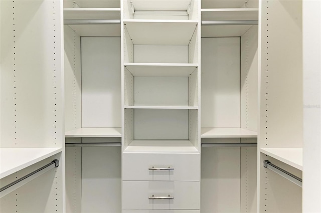 view of spacious closet