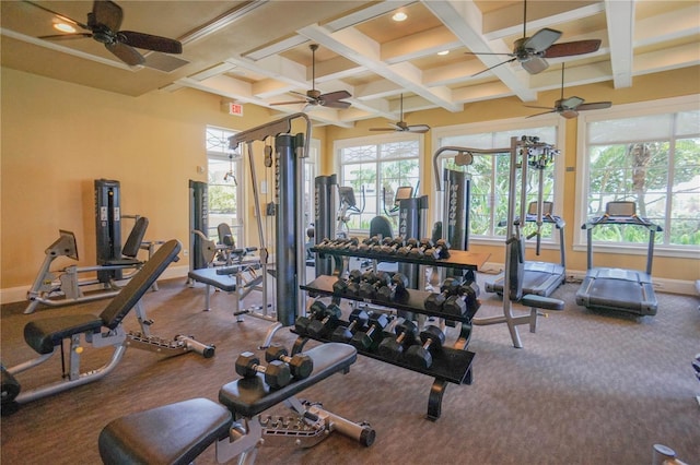 gym with coffered ceiling, carpet floors, and ceiling fan