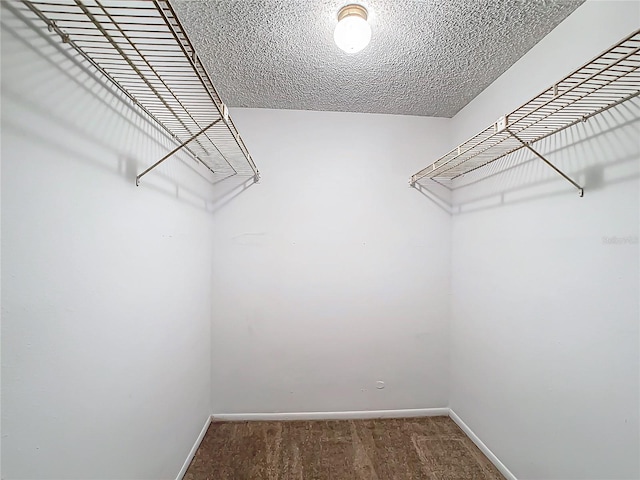 spacious closet featuring carpet floors