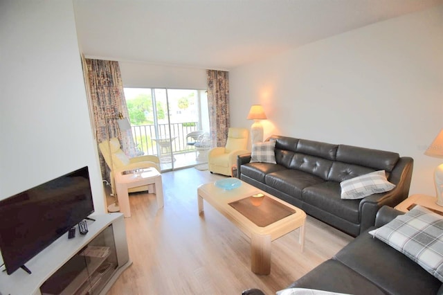 living room featuring light hardwood / wood-style flooring