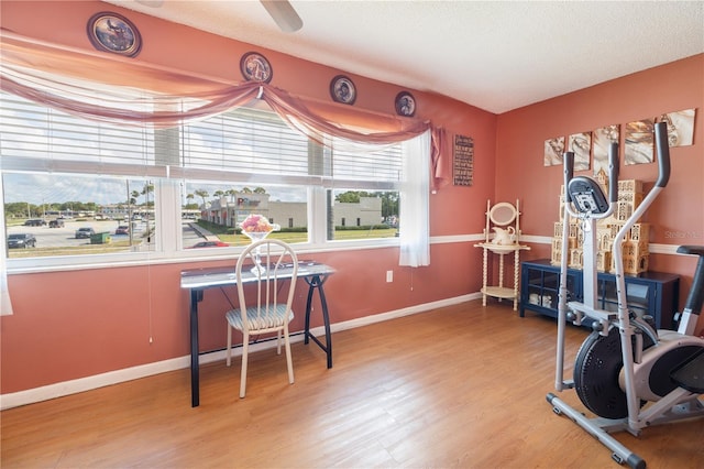 workout room featuring light hardwood / wood-style flooring