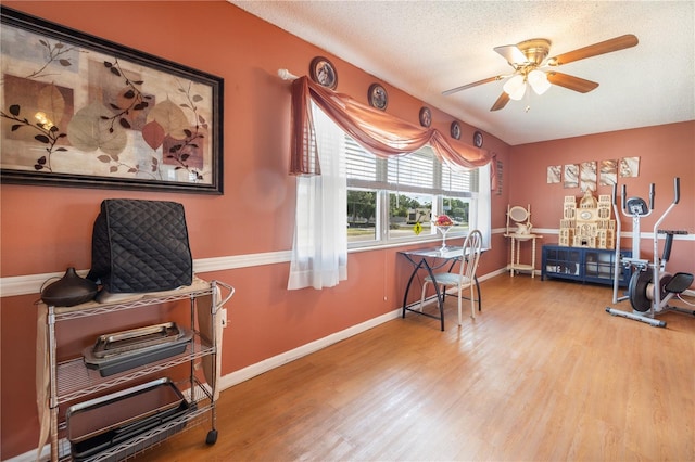 home office featuring light hardwood / wood-style floors, a textured ceiling, and ceiling fan