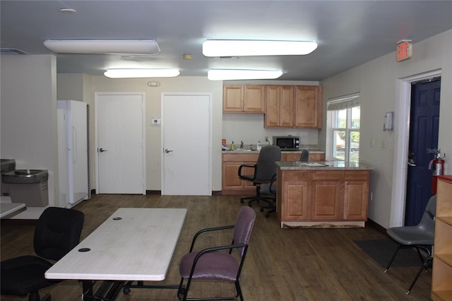 office space with dark hardwood / wood-style floors and sink