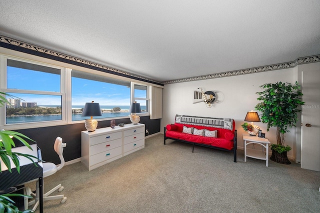 carpeted office with a water view and a textured ceiling