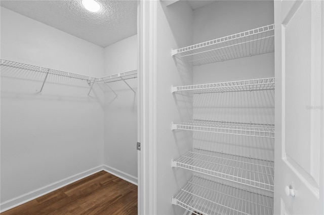 walk in closet with hardwood / wood-style flooring