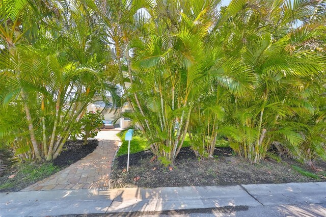 13004 Boca Ciega Ave, Madeira Beach, FL 33708 - photo 39