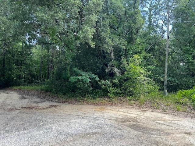 10013 N Holyoak Ter, Dunnellon FL, 34433 land for sale