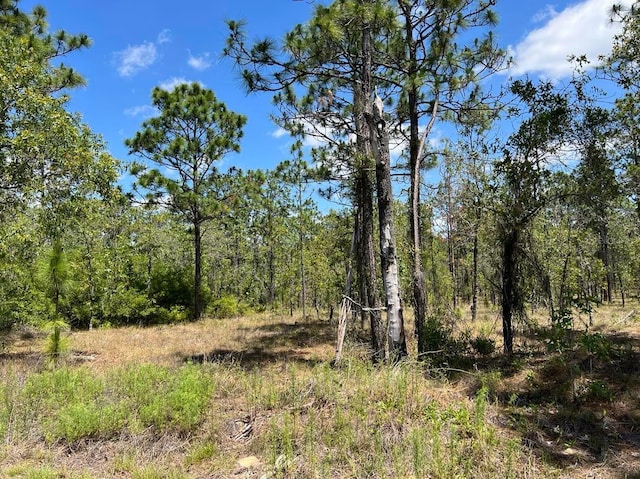 NW Amberjack Ave Lot # 33, Dunnellon FL, 34431 land for sale