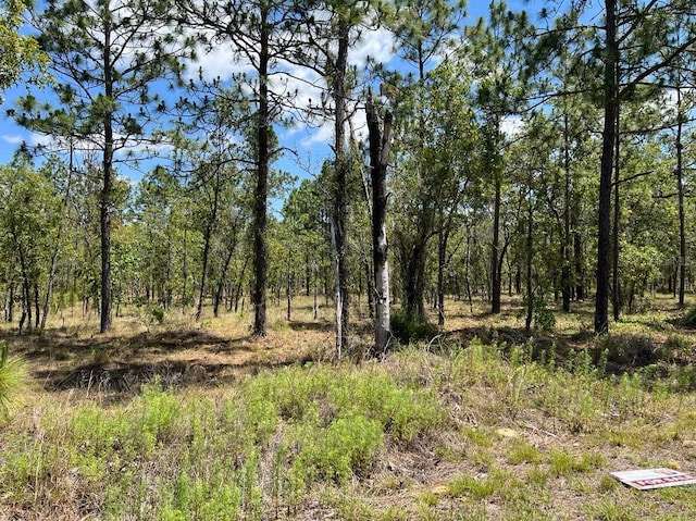 Listing photo 3 for NW Amberjack Ave Lot # 33, Dunnellon FL 34431