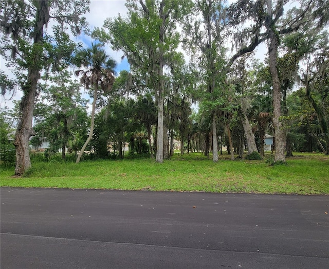 535 Miller Creek Rd, Crystal River FL, 34428 land for sale