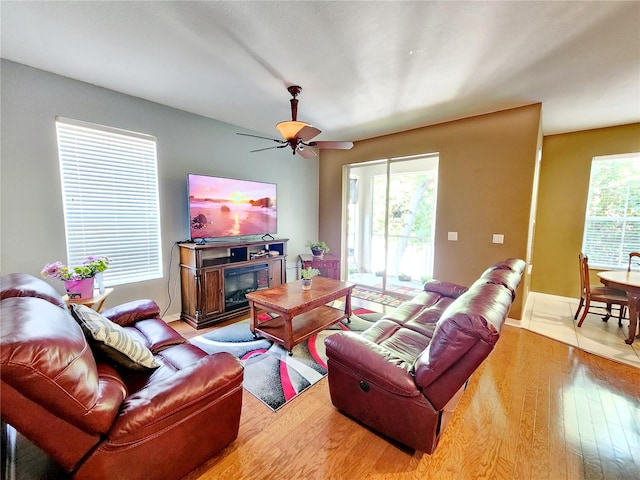 living room with light hardwood / wood-style floors, a wealth of natural light, and ceiling fan