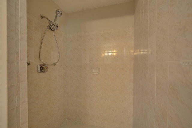 room details featuring tiled shower