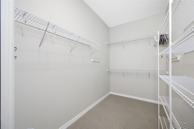 spacious closet featuring carpet flooring