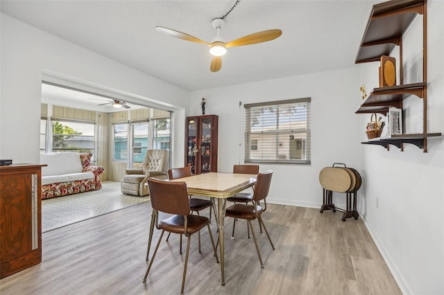 dining space with light hardwood / wood-style floors and ceiling fan