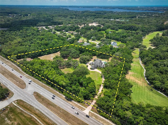 bird's eye view with a view of trees