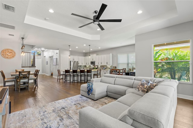 living room featuring dark wood-type flooring and a raised ceiling