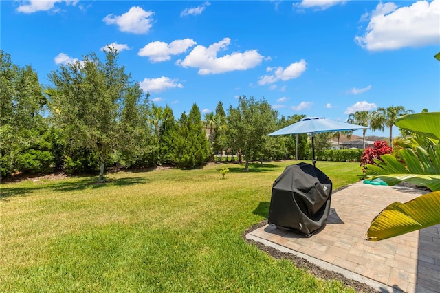 view of yard with a patio area