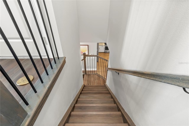 stairs with dark hardwood / wood-style flooring