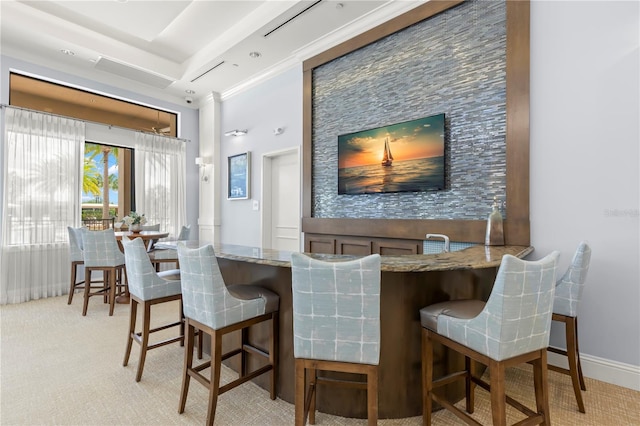 bar featuring a tray ceiling, stone countertops, and light colored carpet