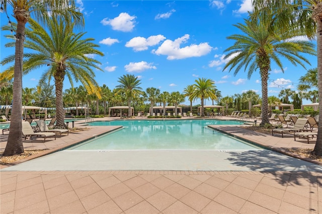 view of swimming pool with a patio