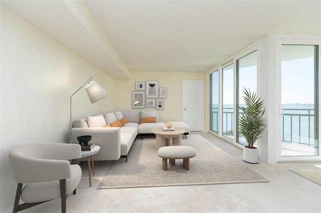 carpeted living room featuring expansive windows