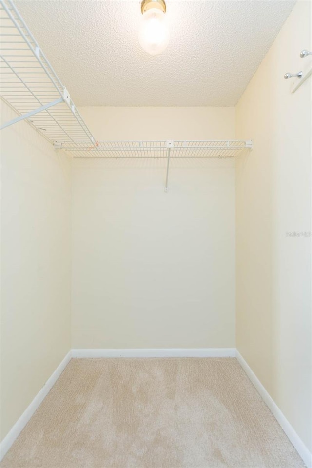 spacious closet featuring carpet floors