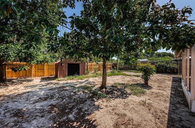 view of yard with a storage shed