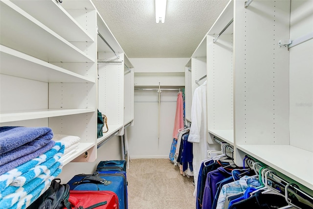 spacious closet featuring light carpet