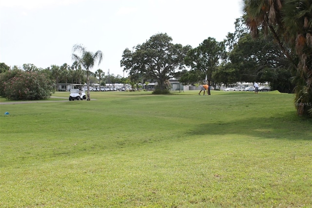 view of property's community with a yard