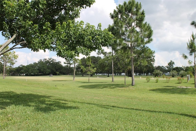 view of property's community featuring a lawn