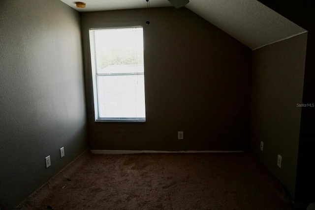 additional living space featuring ceiling fan, carpet, and lofted ceiling