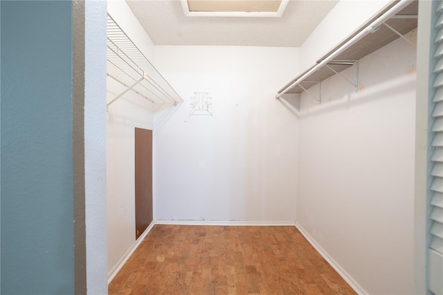 spacious closet with hardwood / wood-style floors