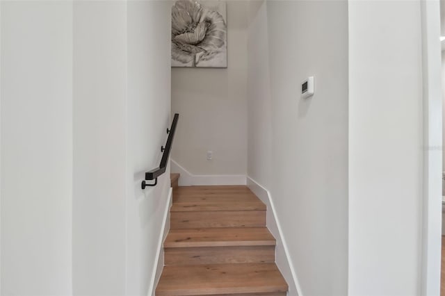 stairs with wood-type flooring