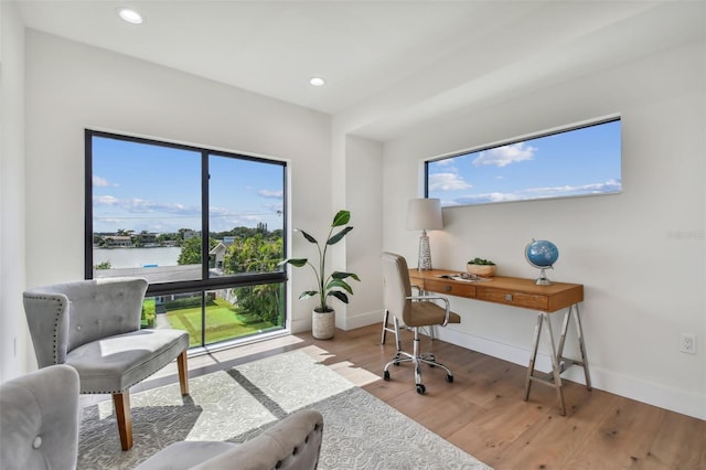 office with a water view and light wood-type flooring