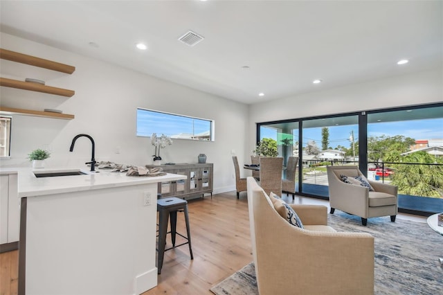 living room featuring light hardwood / wood-style floors and sink