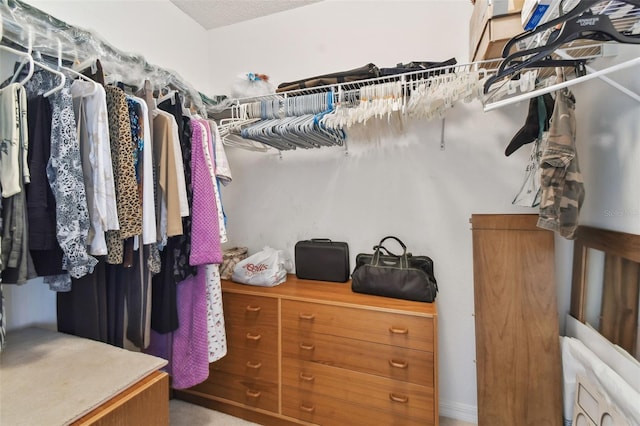 view of spacious closet