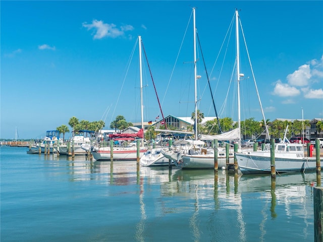 dock area with a water view