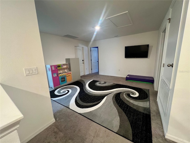 laundry room with carpet floors