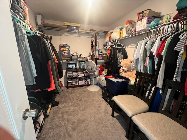 walk in closet featuring carpet floors