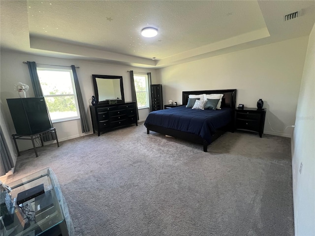 carpeted bedroom with a tray ceiling and a textured ceiling