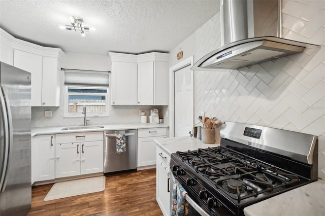 kitchen featuring range hood, sink, stainless steel appliances, and white cabinets