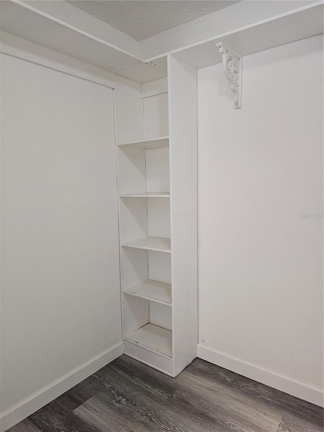 walk in closet featuring dark hardwood / wood-style floors