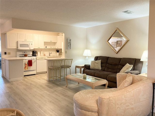 living room featuring a textured ceiling, light hardwood / wood-style flooring, and sink